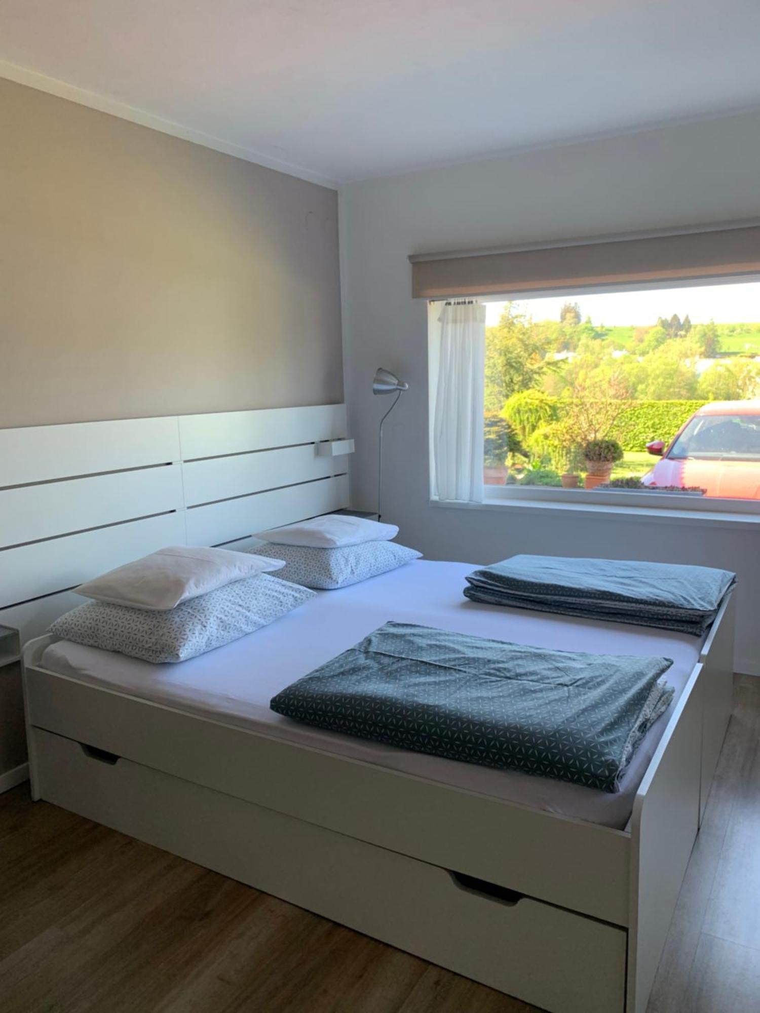 Studiovy Apartman V Zahrade Police nad Metuji Ngoại thất bức ảnh
